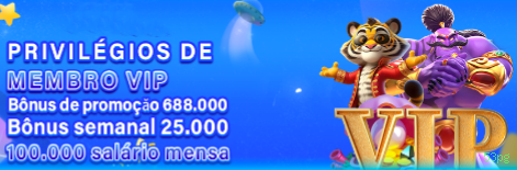 Programa VIP 53pg - benefícios exclusivos